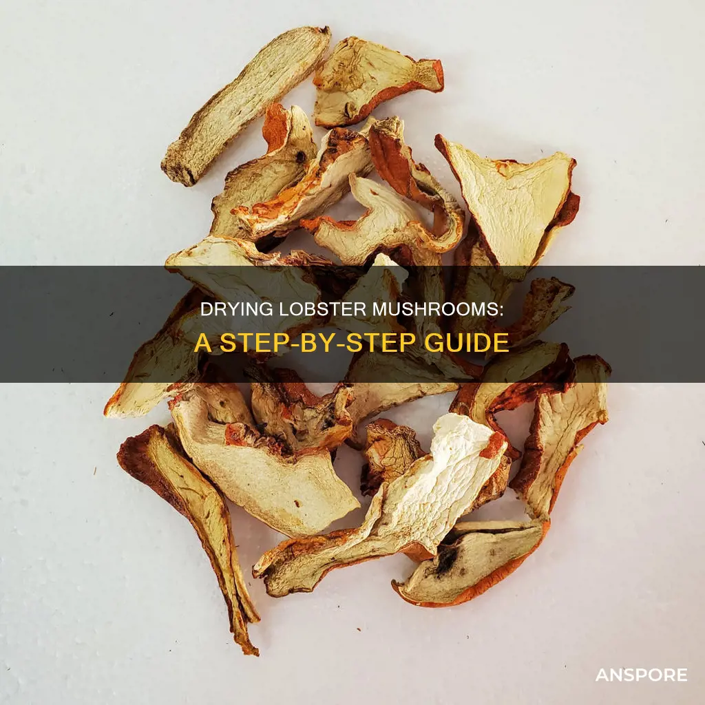 how to dry lobster mushrooms