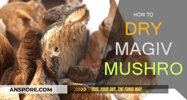 Drying Magic Mushrooms: The Ultimate Guide