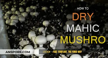 Drying Magic Mushrooms: A Step-by-Step Guide