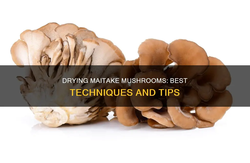 how to dry maitake mushrooms