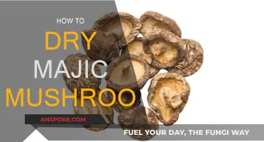 Drying Magic Mushrooms: A Step-by-Step Guide