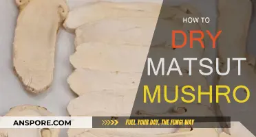 Drying Matsutake Mushrooms: Best Techniques for Preservation