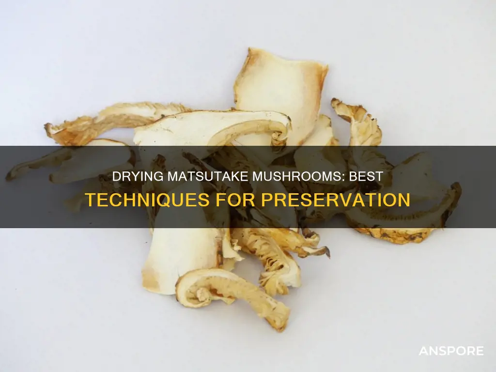 how to dry matsutake mushrooms