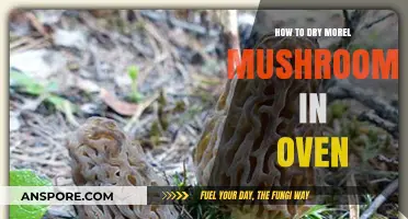 Oven-Drying Morel Mushrooms: A Simple Preservation Guide for Foragers