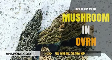 Oven-Drying Morel Mushrooms: A Simple Preservation Guide
