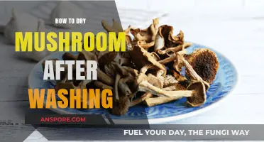 Efficiently Drying Mushrooms Post-Wash: A Simple Step-by-Step Guide