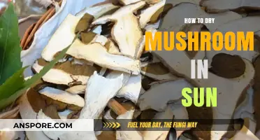 Sun-Drying Mushrooms: A Simple Guide to Preserving Freshness