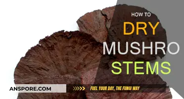 Drying Mushroom Stems: A Step-by-Step Guide