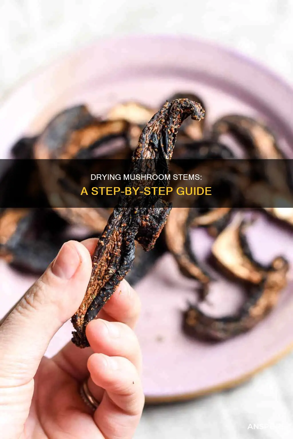 how to dry mushroom stems