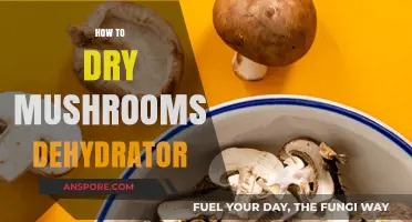 Drying Mushrooms: Dehydrator Techniques and Tricks