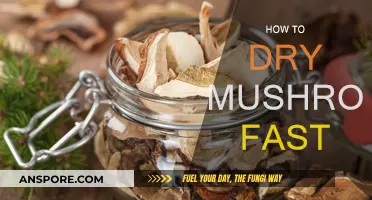 Best Ways to Dry Mushrooms Quickly