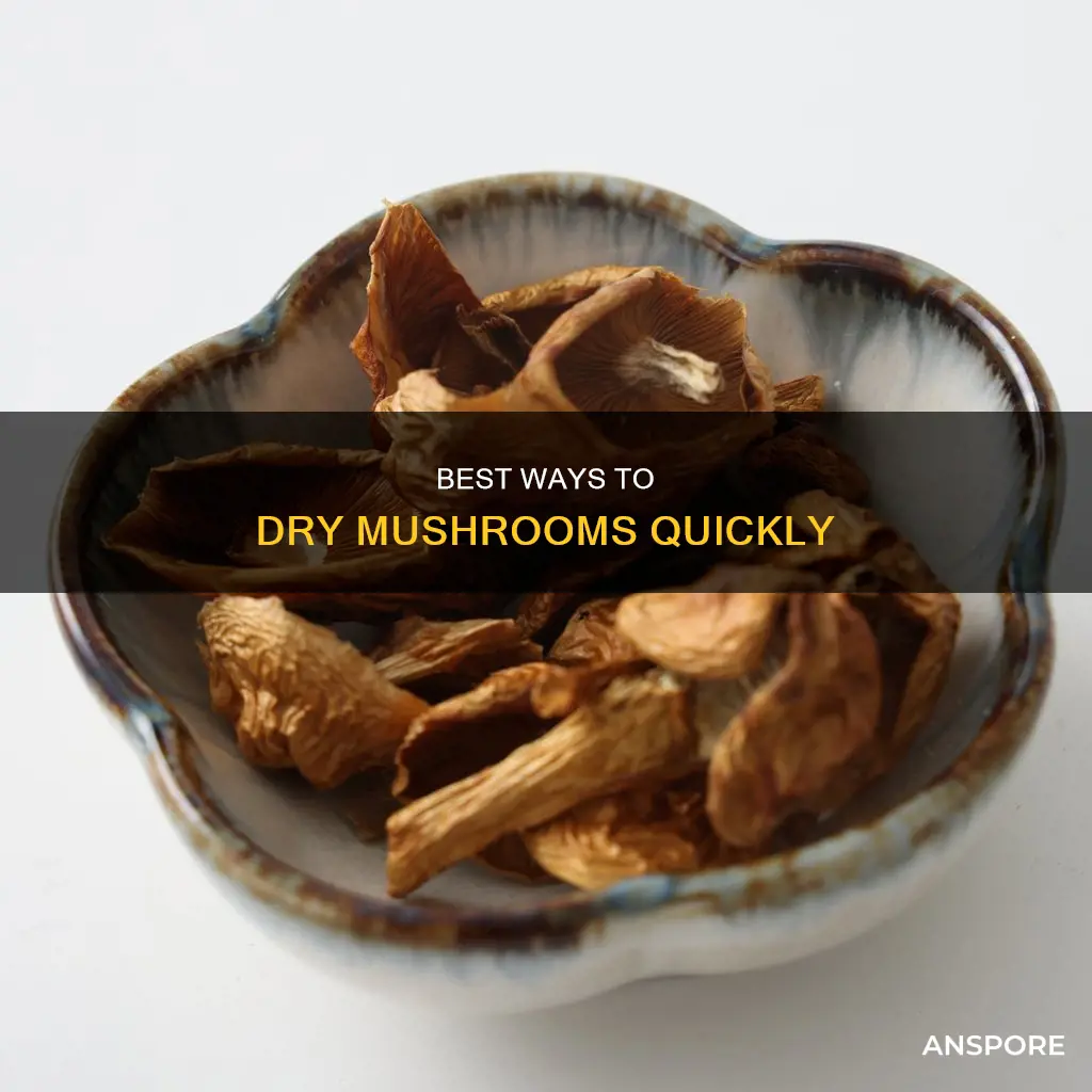 how to dry mushrooms fast