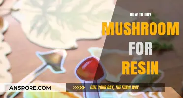Drying Mushrooms for Resin: A Step-by-Step Preservation Guide