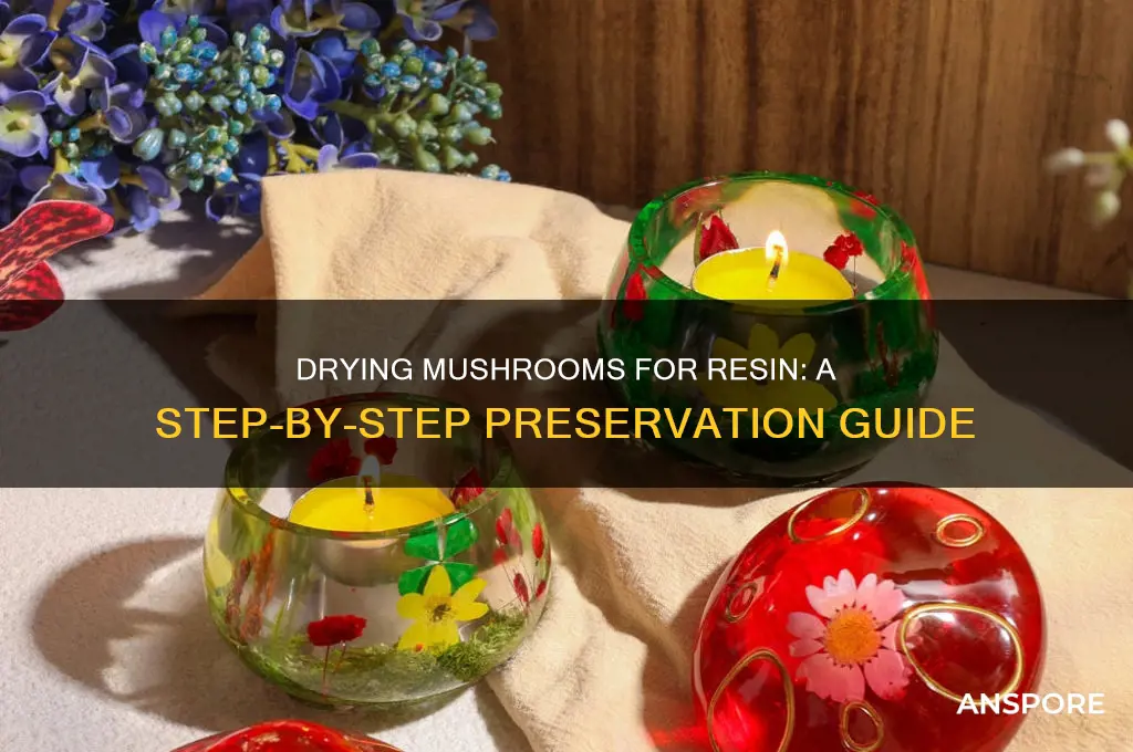 how to dry mushrooms for resin