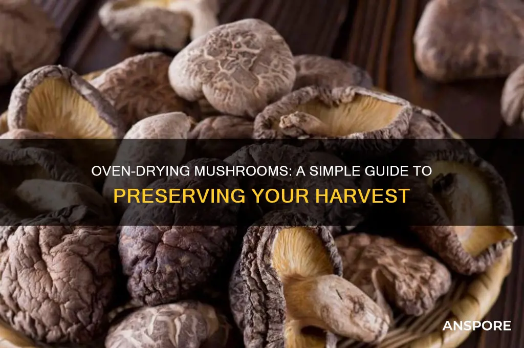 how to dry mushrooms in the oven