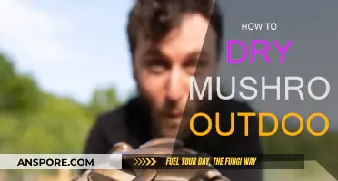 Drying Mushrooms Outdoors: Best Practices