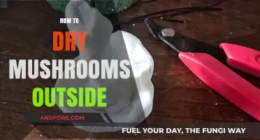 Drying Mushrooms Outdoors: A Step-by-Step Guide