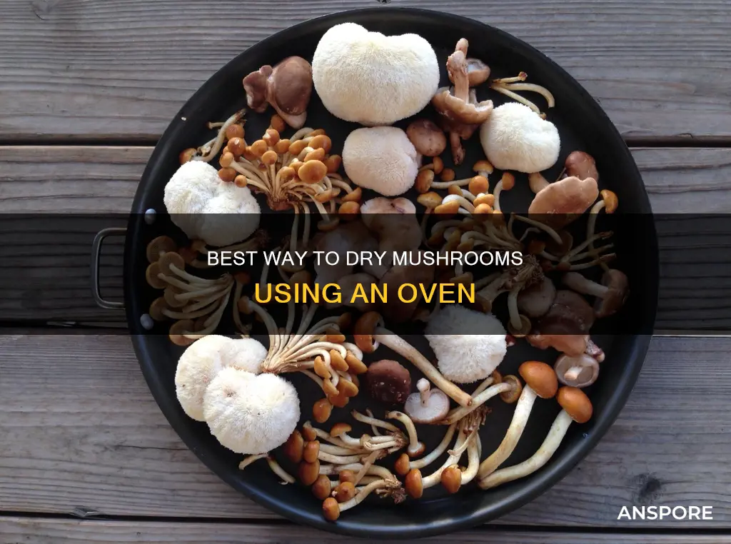 how to dry mushrooms oven