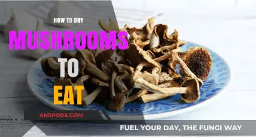Mastering Mushroom Preservation: A Guide to Drying Mushrooms for Delicious Meals