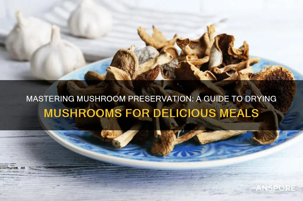 how to dry mushrooms to eat