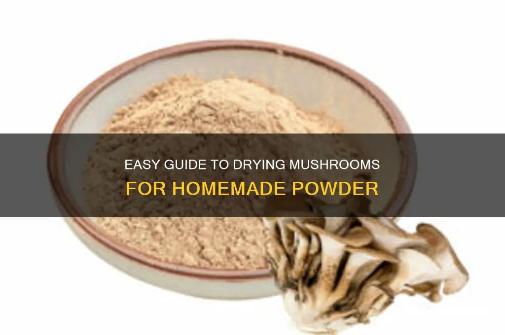 how to dry mushrooms to make powder
