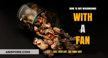 Quickly Dry Mushrooms Using a Fan: A Simple Step-by-Step Guide