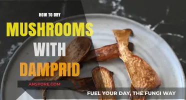 Drying Mushrooms with Damprid: A Simple, Effective Preservation Method