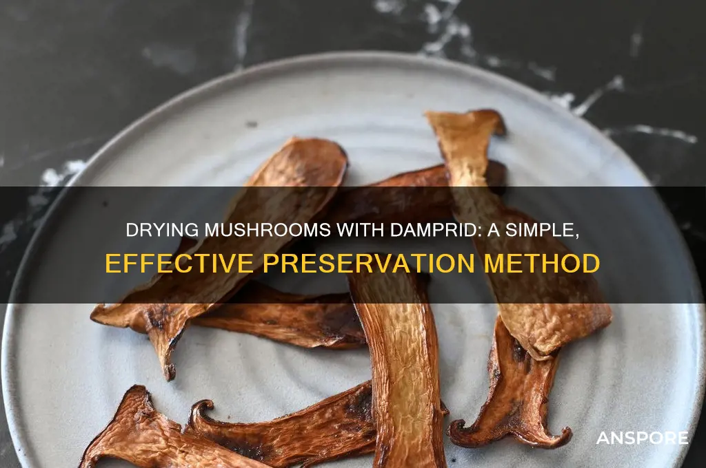 how to dry mushrooms with damprid