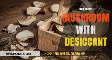 Effective Mushroom Drying: Using Desiccant for Optimal Preservation Results