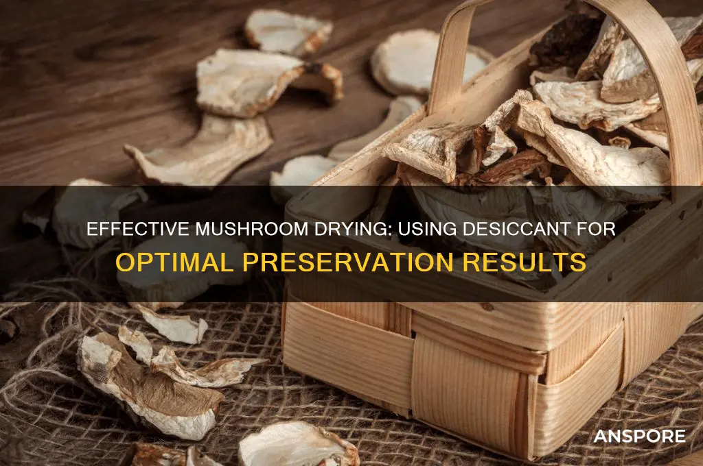 how to dry mushrooms with desiccant