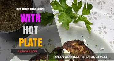 Efficient Mushroom Drying: Using a Hot Plate for Perfect Results