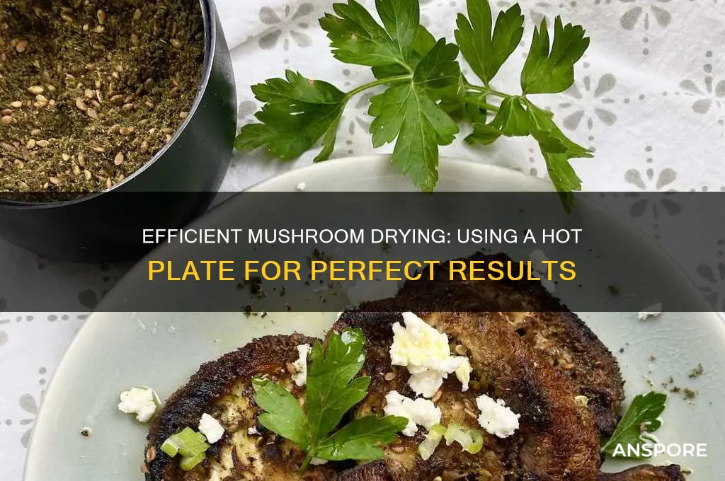 how to dry mushrooms with hot plate