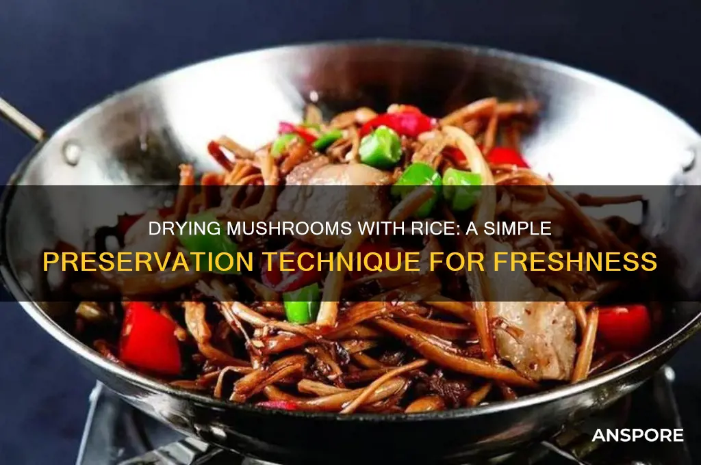 how to dry mushrooms with rice