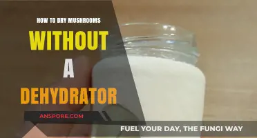 Easy Ways to Dry Mushrooms Without a Dehydrator at Home