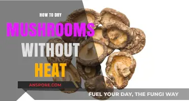 Air-Drying Mushrooms: A Heat-Free Preservation Method for Freshness