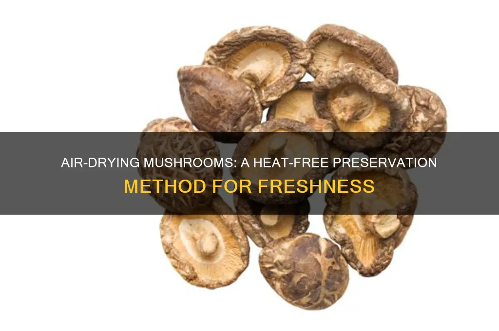 how to dry mushrooms without heat