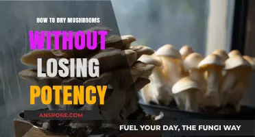 Preserve Mushroom Potency: Effective Drying Techniques for Optimal Results