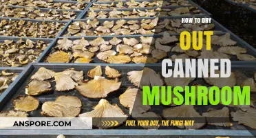 Quick Tips for Perfectly Drying Canned Mushrooms at Home