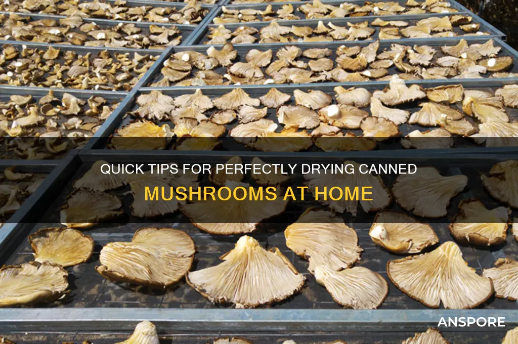 how to dry out canned mushrooms
