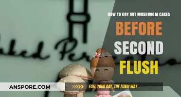 Mastering Mushroom Cake Drying for a Successful Second Flush Harvest