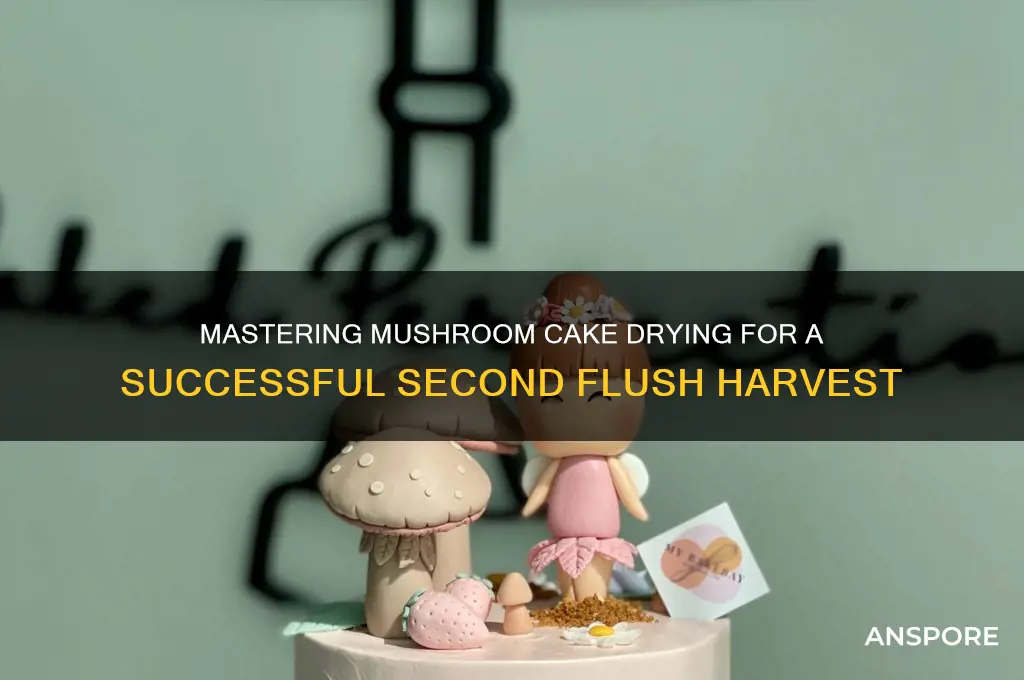 how to dry out mushroom cakes before second flush