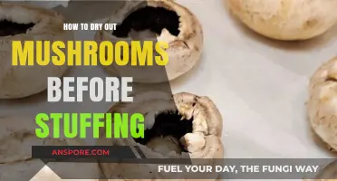 Perfectly Prepped: Drying Mushrooms for Delicious Stuffed Creations