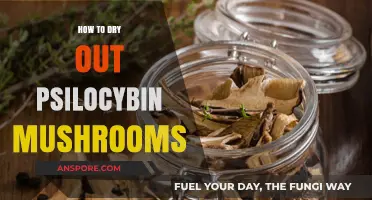 Effective Techniques for Drying Psilocybin Mushrooms Safely and Efficiently