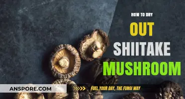 Mastering the Art of Drying Shiitake Mushrooms for Longevity