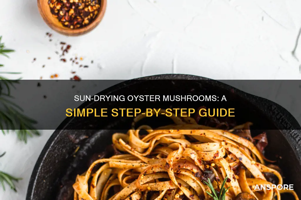 how to dry oyster mushroom in sun