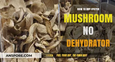 Easy Air-Drying Techniques for Oyster Mushrooms Without a Dehydrator