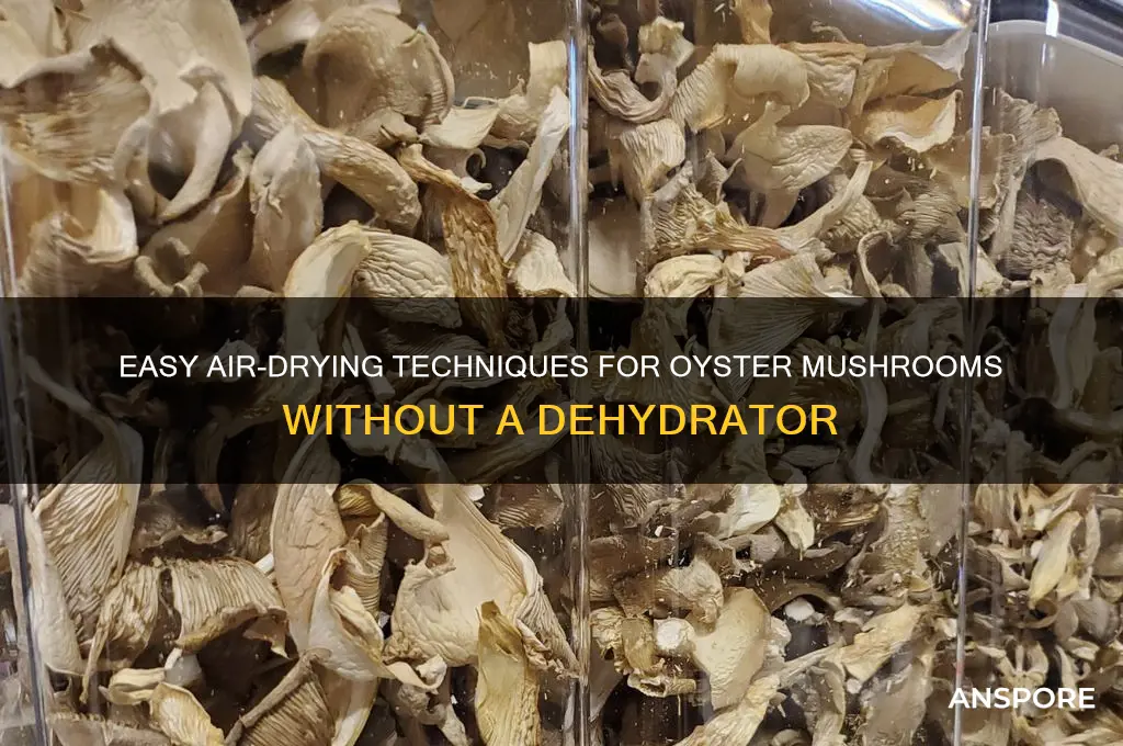 how to dry oyster mushroom no dehydrator