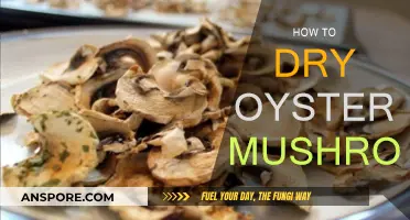 Drying Oyster Mushrooms: Best Techniques and Practices
