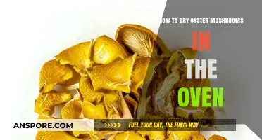 Oven-Drying Oyster Mushrooms: A Simple Preservation Guide