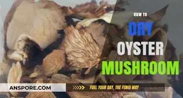 Drying Oyster Mushrooms: A Simple Guide